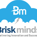 BRISKMINDS Software Solutions Pvt Ltd