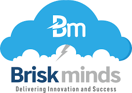 BRISKMINDS Software Solutions Pvt Ltd