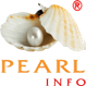 Add Pearl info Pvt Ltd